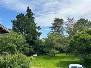 52964750  – Appartement – 2 pièces à AIRE SUR L ADOUR