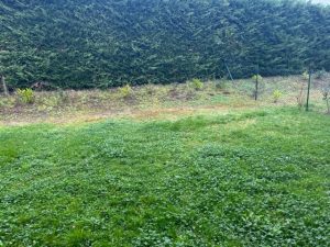 52976765  – Appartement – 3 pièces à TOSSE