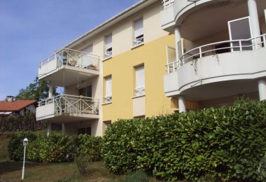 52980213  – Appartement – 2 pièces à ST PIERRE DU MONT