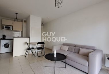 52629336  – Appartement – 2 pièces à RION DES LANDES