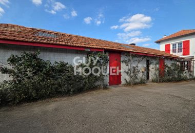 52986531  – Maison – 3 pièces à RION DES LANDES