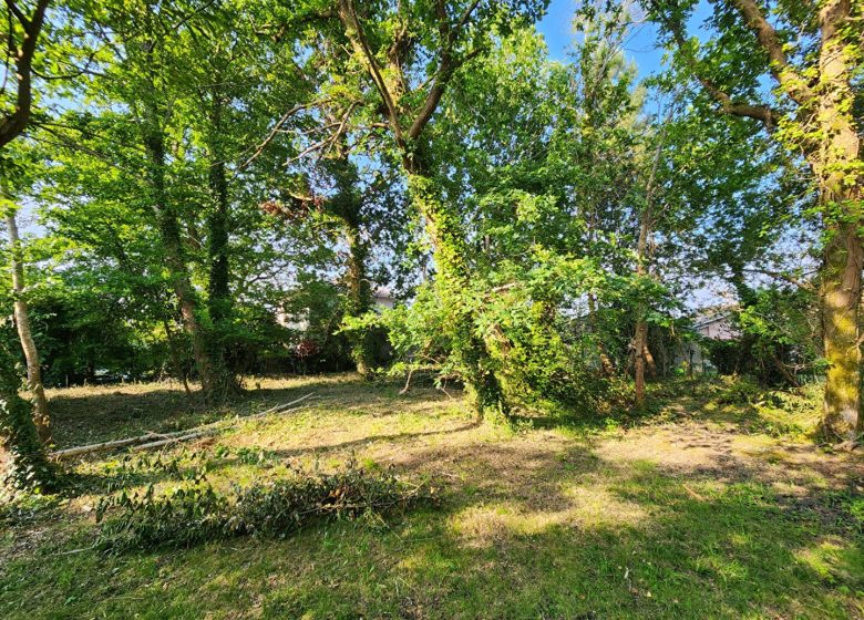 51951092  – Terrain à SANGUINET