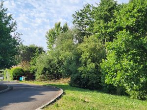 51951092  – Terrain à SANGUINET