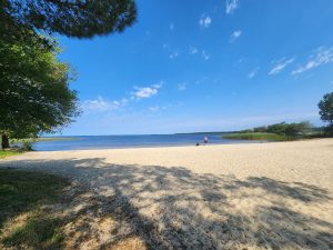 51951092  – Terrain à SANGUINET