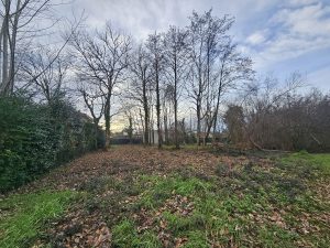 51951092  – Terrain à SANGUINET