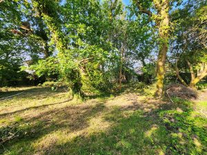 51951092  – Terrain à SANGUINET