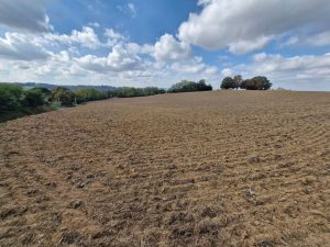 52737951  – Terrain à ST AUBIN