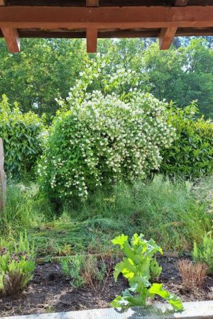 52814887  – Maison – 4 pièces à MAILLERES