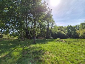 52993987  – Maison – 4 pièces à MORCENX