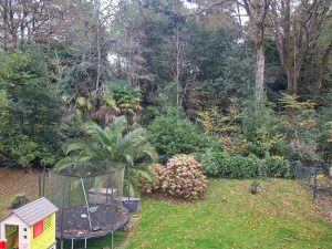 52780548  – Maison – 4 pièces à ST MARTIN DE SEIGNANX