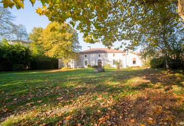 52752426  – Maison – 10 pièces à PISSOS