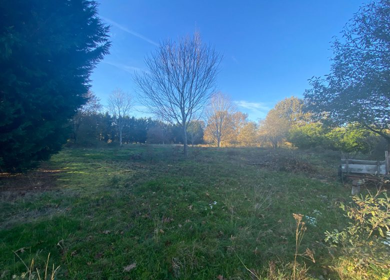 52792527  – Terrain à LIPOSTHEY