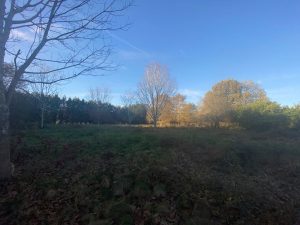 52792527  – Terrain à LIPOSTHEY