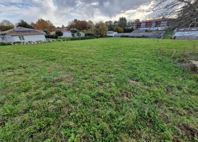 52778015  – Terrain à MUGRON