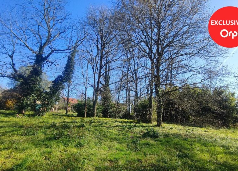 52858876  – Terrain à PEYREHORADE