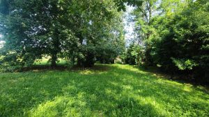 52858876  – Terrain à PEYREHORADE