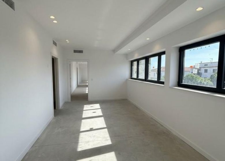 53001449  – Appartement – 1 pièces à MONT DE MARSAN