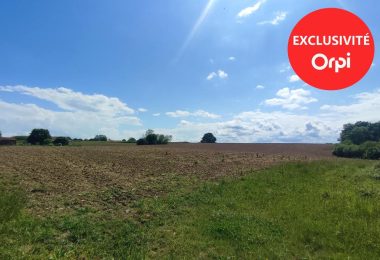 53003236  – Terrain à LEREN