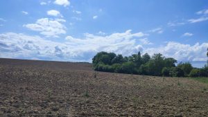53003236  – Terrain à LEREN