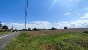 53003236  – Terrain à LEREN