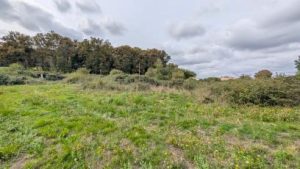 52721531  – Terrain à MONT DE MARSAN