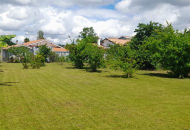 53021322  – Terrain à ST VINCENT DE TYROSSE