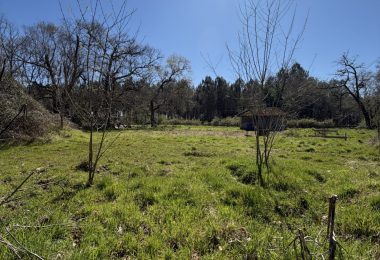 53031576  – Terrain à ST AVIT