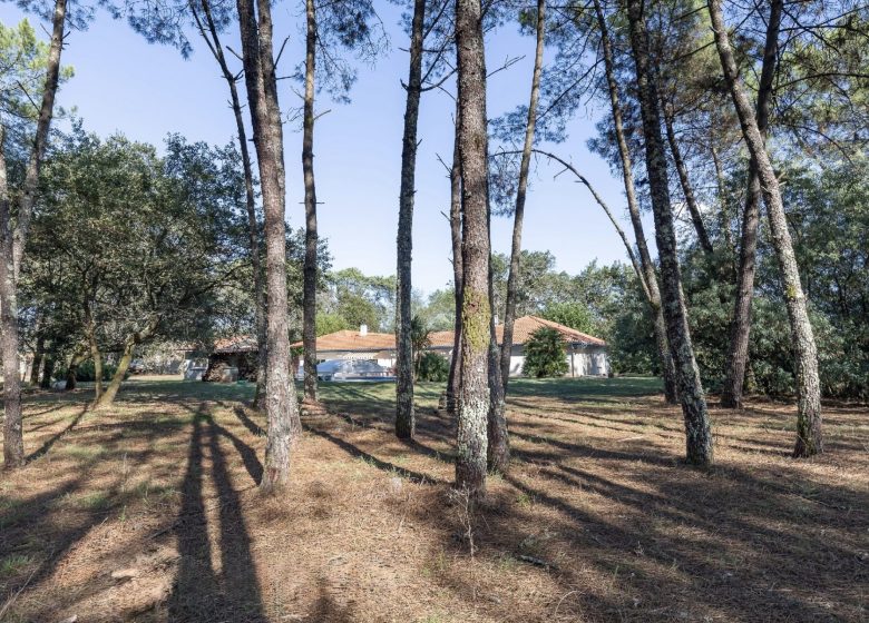 53033174  – Maison – 8 pièces à HERM