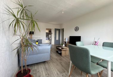 53028769  – Appartement – 2 pièces à MONT DE MARSAN
