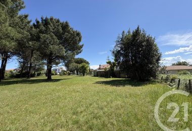 53050532  – Terrain à ONDRES