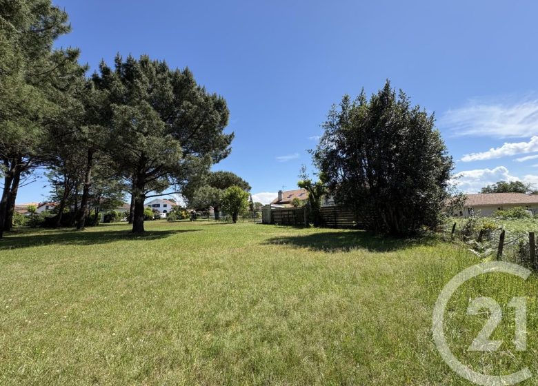 53050532  – Terrain à ONDRES