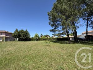 53050403  – Terrain à ONDRES