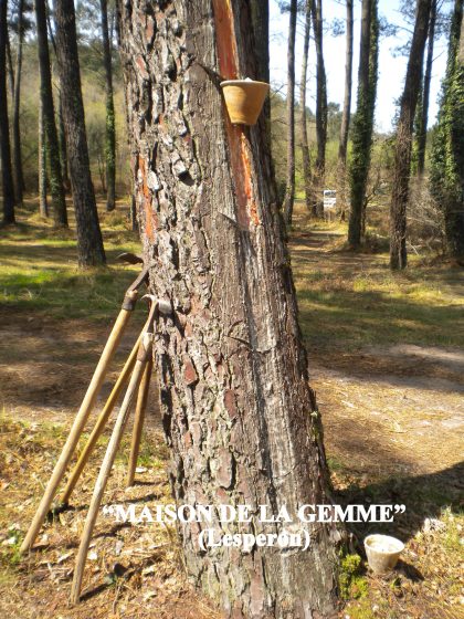 Journées du Patrimoine – La Maison de la gemme ouvre ses portes