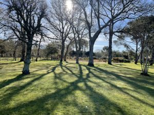 Les Maisons Huraia – La Landaise