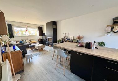 53058131  – Appartement – 4 pièces à TOSSE