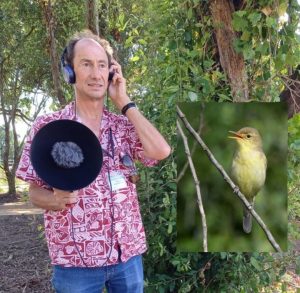 Les chants d&rsquo;oiseaux des Barthes