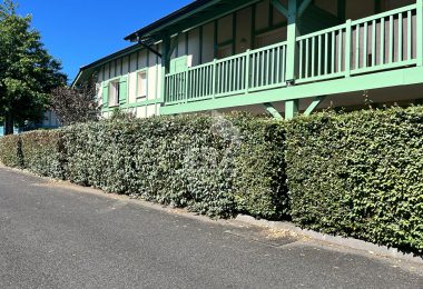 53064294  – Appartement – 2 pièces à ANGRESSE