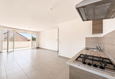 53086041  – Appartement – 3 pièces à BENESSE MAREMNE