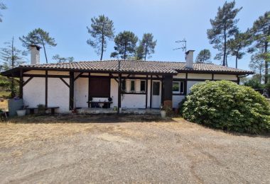 53091891  – Maison – 3 pièces à BEGAAR