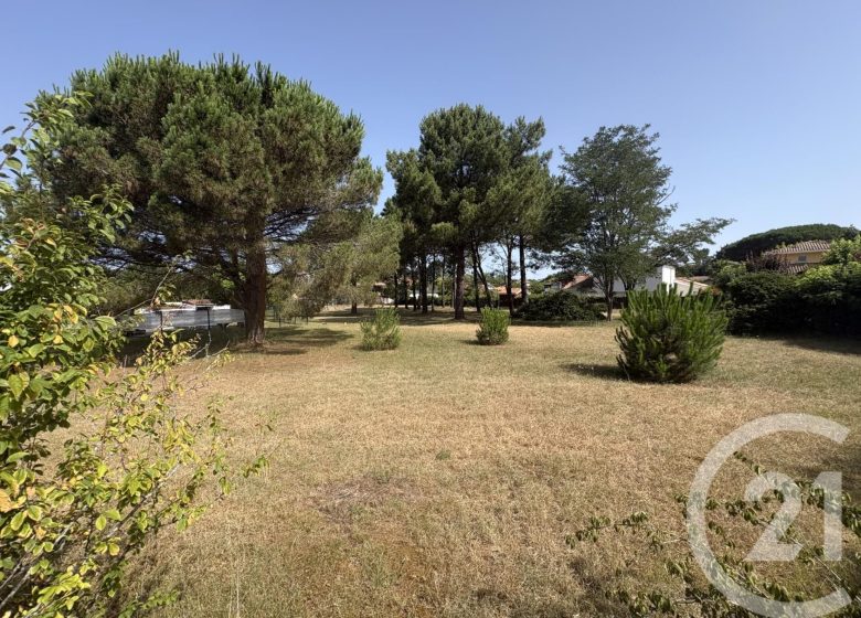53094127  – Terrain à ONDRES