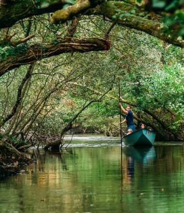 Les incontournables des Landes