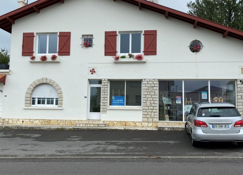 52736500  – Local commercial à ST LON LES MINES