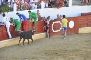Course Landaise et jeux d&rsquo;arènes