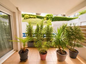 53111107  – Appartement – 3 pièces à ST PAUL LES DAX