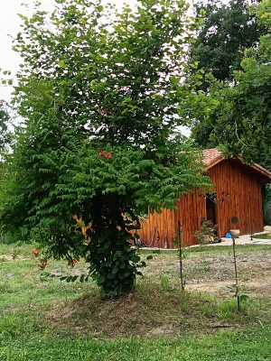 Les Chalets Mayura