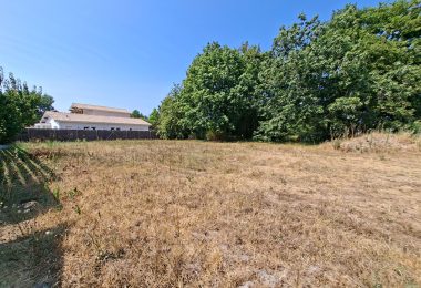 53119378  – Terrain à LEON
