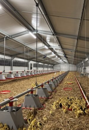 Portes ouvertes à la découverte des producteurs de Foie Gras à Sainte-Colombe