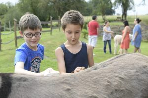 Visite sur rdv de l&rsquo;asinerie Turs&rsquo;Ane