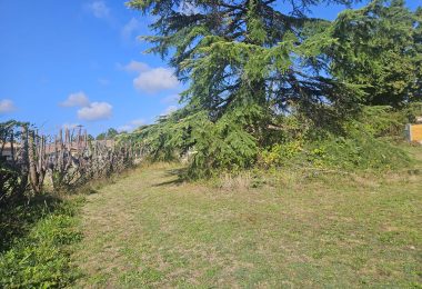 52700236  – Terrain à PARENTIS EN BORN