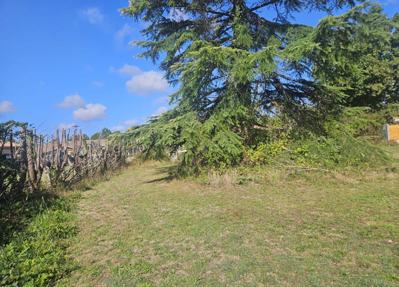52700236  – Terrain à PARENTIS EN BORN